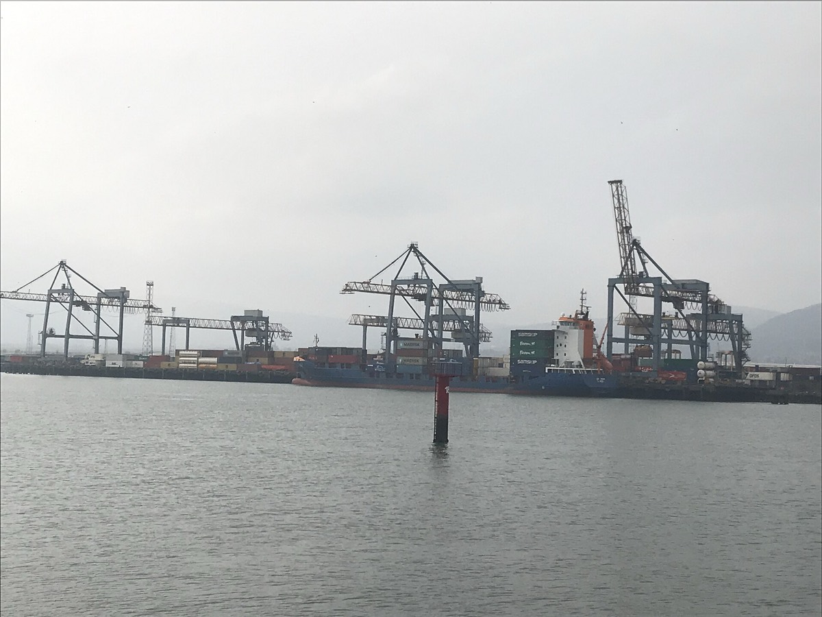 Container ship and gantry cranes at a port terminal